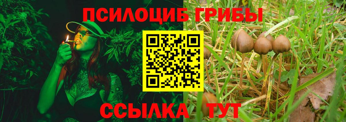 Псилоцибиновые грибы прущие грибы Вольск